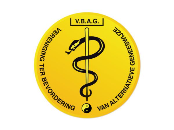 logo vbag